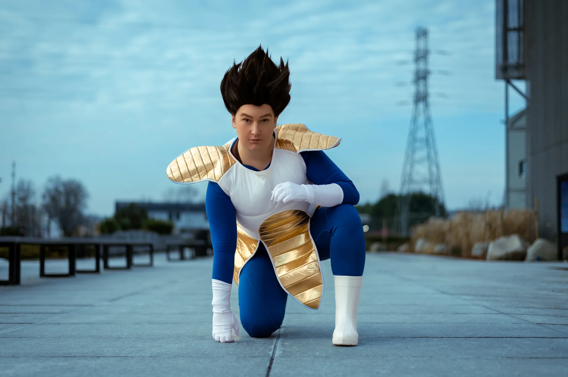 Prince Vegeta