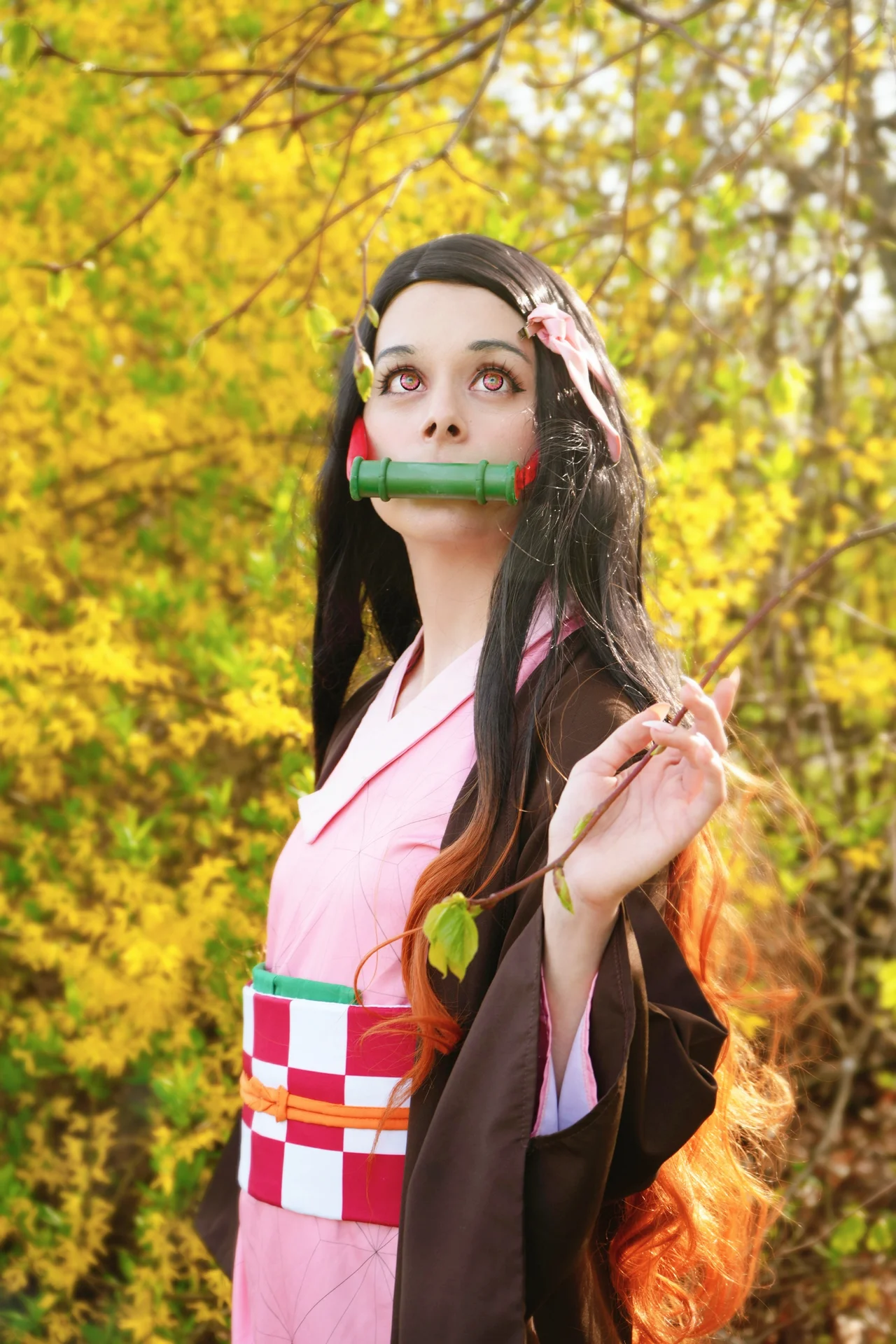 Nezuko 