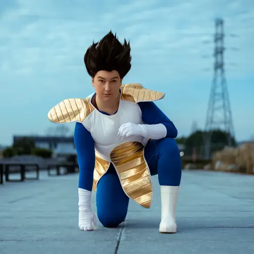 Photo name Prince Vegeta